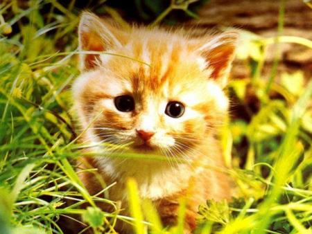 Tros mignon !!!!!!!!!!!!!!